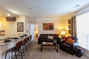 Johnson City apartment for rent - A living room with a black couch and a painting on the wall.