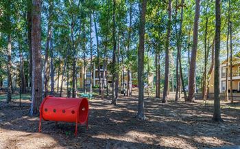 Dog park