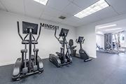 Tampa apartment for rent - A gym with a row of treadmills and elliptical machines at Waterview at Rocky Point, Tampa, FL