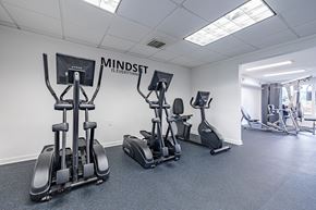 Tampa apartment for rent - A gym with a row of treadmills and elliptical machines at Waterview at Rocky Point, Tampa, FL