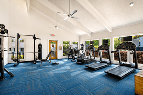 Sandy Springs apartment for rent - A gym with a variety of equipment including treadmills, weights, and a fan.