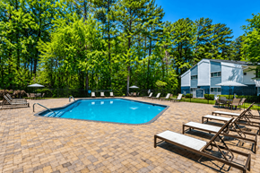 Sandy Springs apartment for rent - A pool surrounded by trees and chairs.