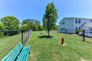Dog park
