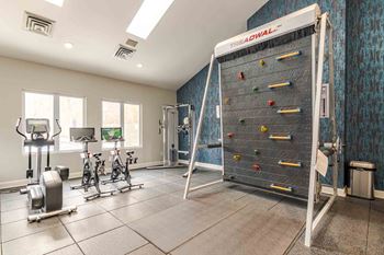 State of the  art cardio and weights fitness center