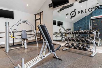 State of the  art cardio and weights fitness center