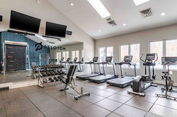 State of the  art cardio and weights fitness center