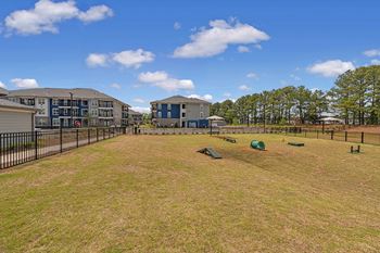 2 Large dog parks with training equipment