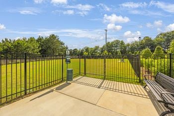 Dog park