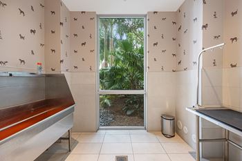 Pet spa for luxury pet living