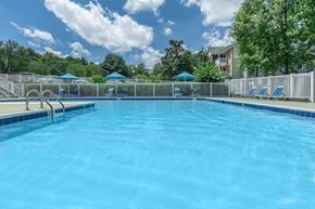 North Chesterfield apartment for rent - Affordable Apartments for Rent in Richmond City, VA - Overlook at Falling Creek - A Clear Outdoor Swimming Pool With Lounge Chairs, Blue Umbrellas, White Fence, and Trees.
