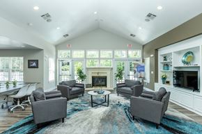 North Chesterfield apartment for rent - A living room with a fireplace and grey couches.