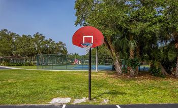 Basketball court