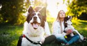 Plantation apartment for rent - a woman and two dogs sitting in the grass