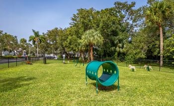On-site dog park