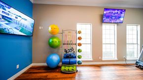 Mansfield townhouse for rent - a home gym with a skateboard and various balls and a tv