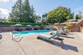 Bellevue apartment for rent - Pet-Friendly Apartments in North Bellevue, WA - The Regent at Bellevue Way - An Outdoor Swimming Pool, Featuring Multiple Sun Loungers, Seating with Umbrellas, and Trees.
