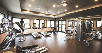 Sophisticated fitness and wellness center with free weights