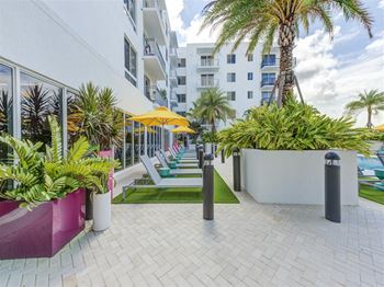 A patio with palm trees and lounge chairs