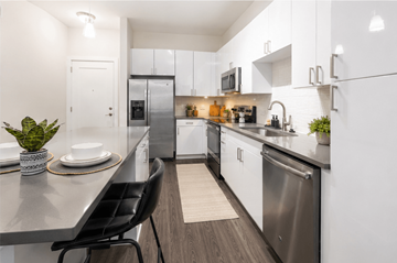 Tampa apartment for rent - A modern kitchen with a black chair and a plant on the counter.