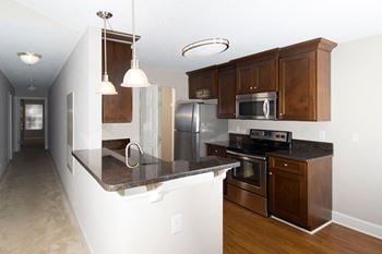 Gourmet kitchen