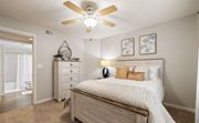 Tallahassee apartment for rent - A bedroom with a bed, dresser, and a ceiling fan.