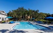 Tallahassee apartment for rent - A large swimming pool surrounded by trees and lounge chairs.