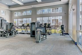 Jacksonville apartment for rent - A gym with a variety of equipment including treadmills, stationary bikes, and weight machines.