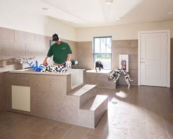 Pet spa