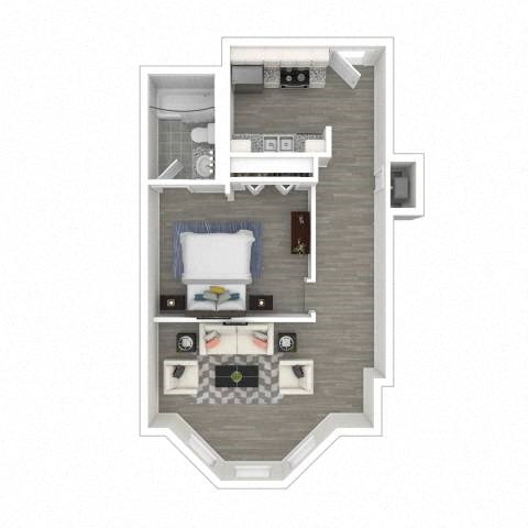 Floor plan for studio, 1 bath, 557 sqft
