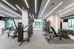 Wellington apartment for rent - A gym with a variety of equipment including weights and machines.
