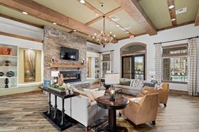Johnson City apartment for rent - A living room with a stone fireplace and a chandelier.