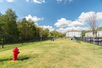 Pet park with pet agility equipment and more