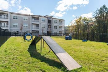Pet park with pet agility equipment and more