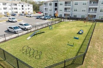 Pet park with pet agility equipment and more