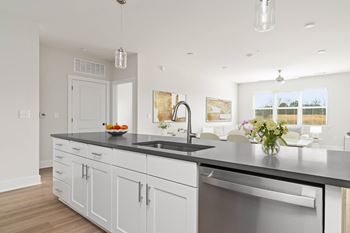 Under mount stainless kitchen sinks