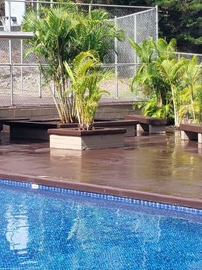 Honolulu apartment for rent - a swimming pool with a blue poolside fence in the background and a row of wooden benches