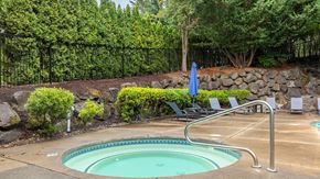 West Linn apartment for rent - A small pool surrounded by a stone wall and trees.