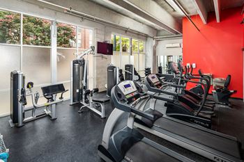 Modern equipment at gym