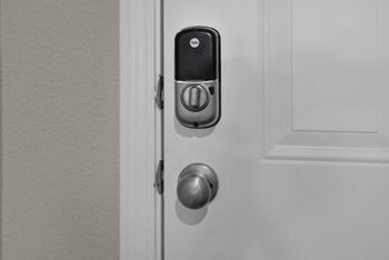 Door knob