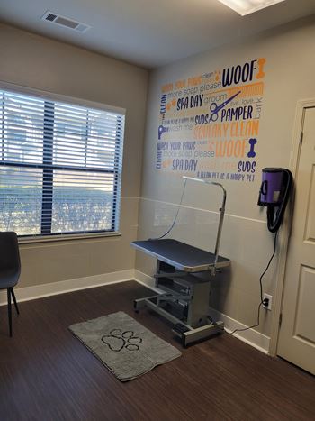 Pet grooming area