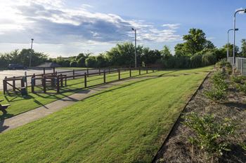 Lush green landscape