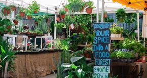 Los Angeles apartment for rent - Culver City Farmers Market every Tuesday and Mar Vista Farmers Market every Sunday