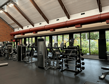 Free membership to mountain park recreation center