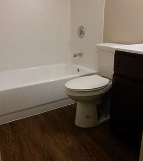 Seattle apartment for rent - a bathroom with a toilet and a bath tub
