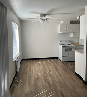 Connell apartment for rent - an empty kitchen with wood flooring and a ceiling fan