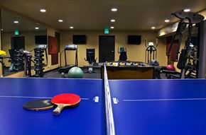 Seattle apartment for rent - a game of ping pong on a blue table