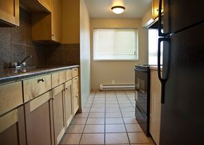 Seattle apartment for rent - a kitchen with a black refrigerator and a sink