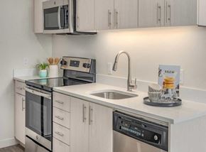 Portland apartment for rent - A kitchen with a stainless steel dishwasher and a white countertop.
