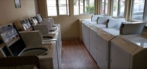 Bellevue apartment for rent - a row of washers and dryers in a room with windows