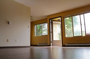 Seattle apartment for rent - an empty living room with yellow walls and large windows